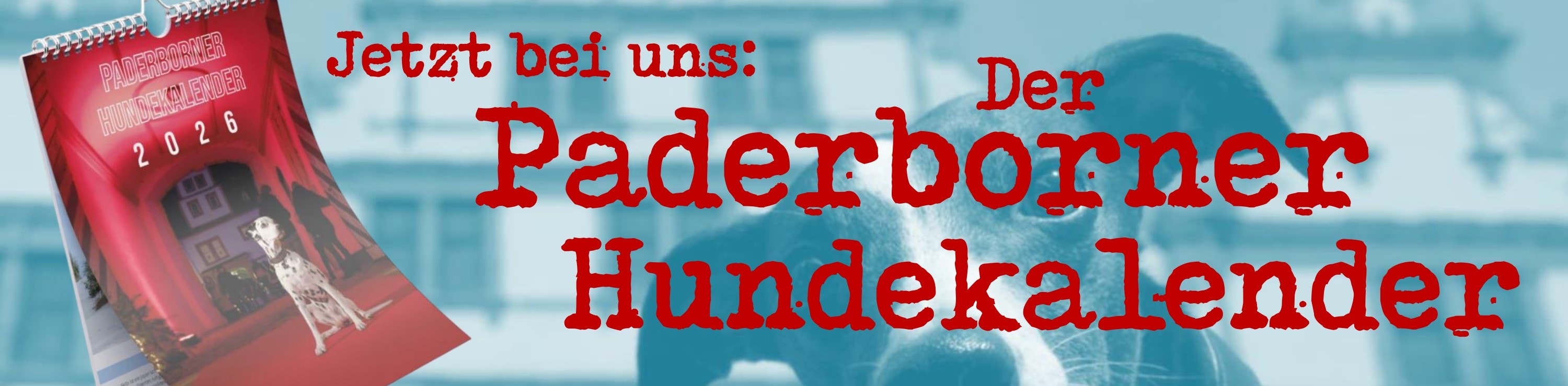 Bildkarussell - Bild  1